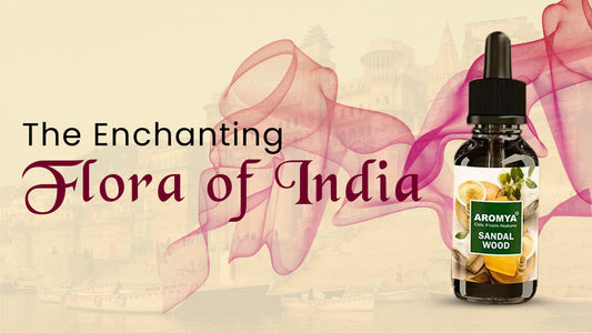 nature fragrance in india