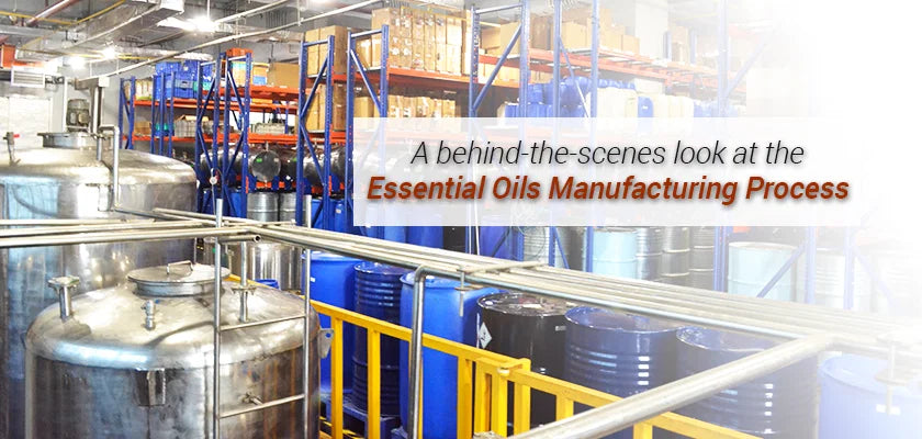 Choosing a bulk essential oils manufacturer for your brand, Aromya Delhi