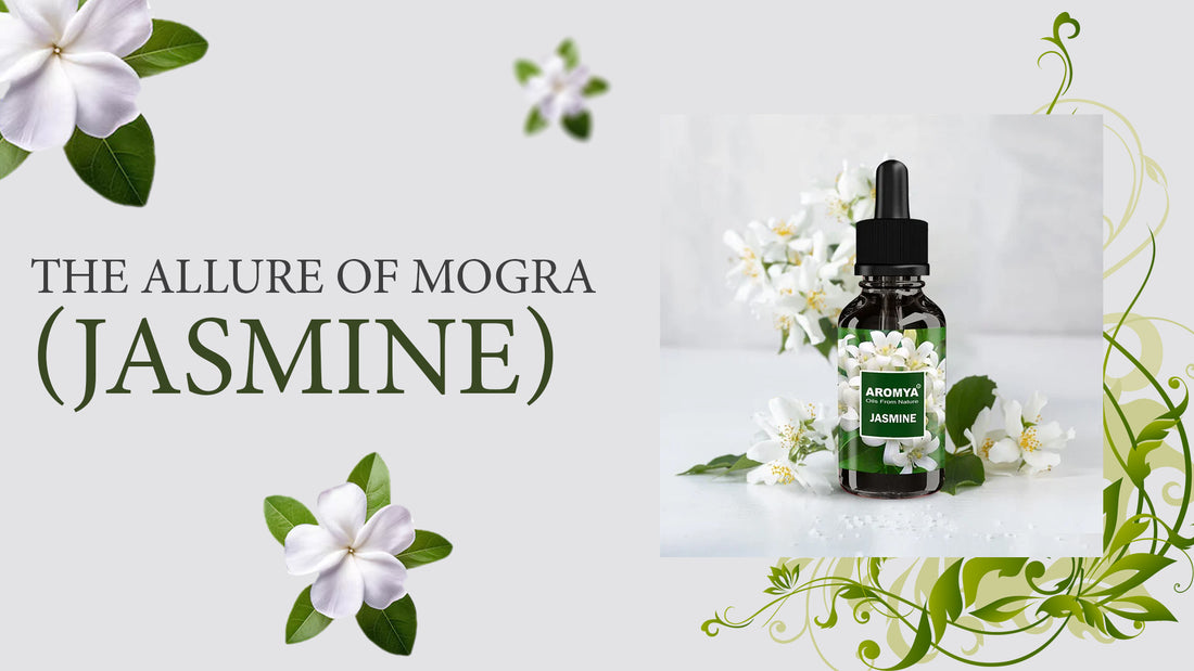 The Aromya's Mogra Fragrance Oil - Embrace the Floral Elegance of Jasmine in Every Whiff