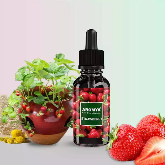 Strawberry Aromya Oil
